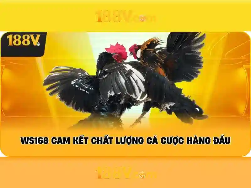 An toàn khi làm việc với điện áp 188V