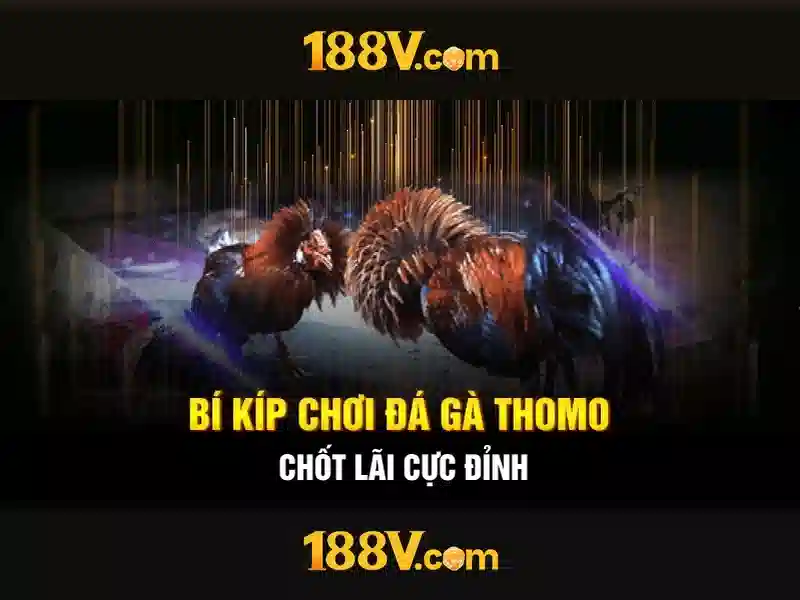 Sản phẩm và dịch vụ cốt lõi: ứng dụng thực tế của 188v