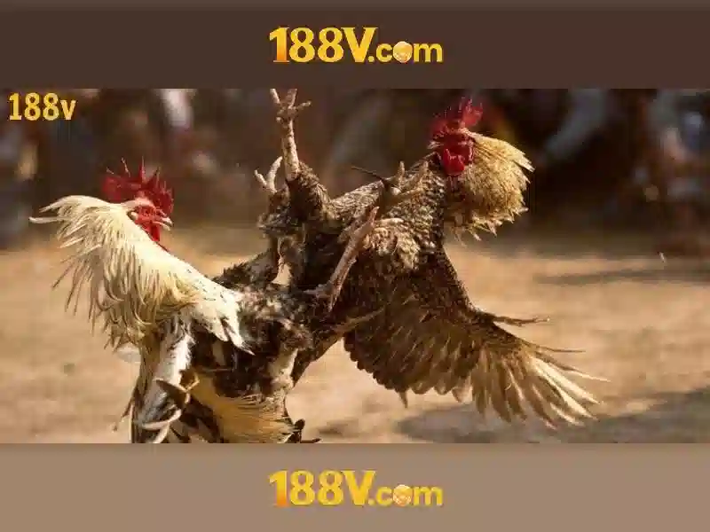 188v là gì?