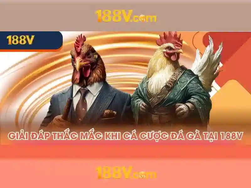 Trải nghiệm người dùng và phản hồi cộng đồng