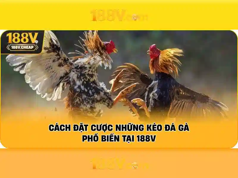 Kết luận về 188v