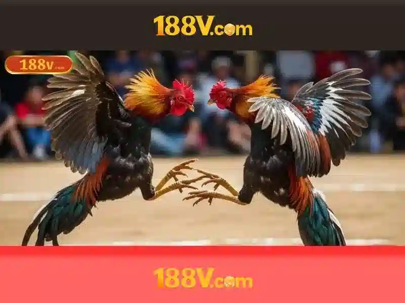 Nguồn gốc và ý nghĩa