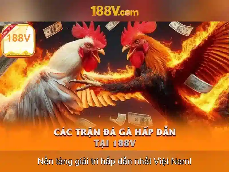 Ứng dụng và tương lai của 188v