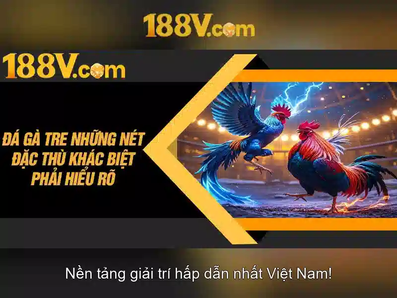 Các nguy cơ và biện pháp an toàn