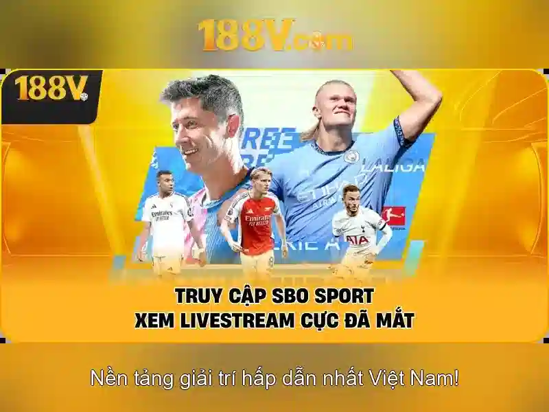 Nét đặc sắc và ảnh hưởng