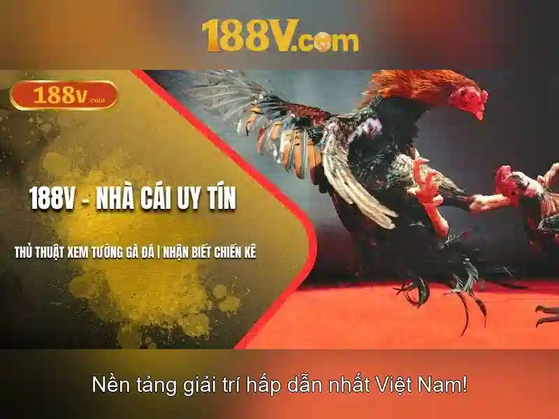 Nguồn gốc và sứ mệnh của 188v bet