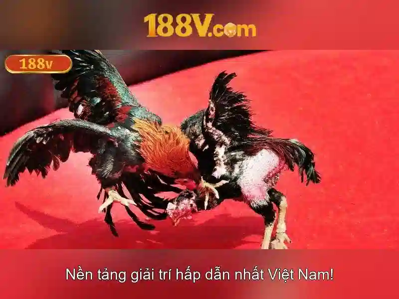 Khía cạnh an toàn và thách thức