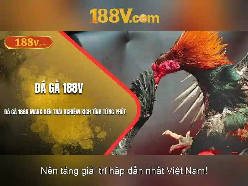 'Nguồn gốc và ý nghĩa của 188v'