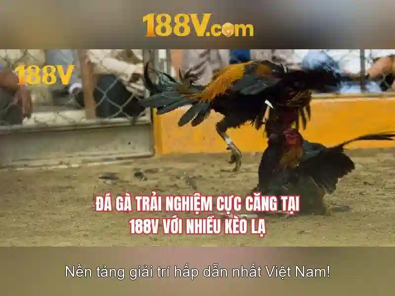 Nguồn gốc và ý nghĩa của 188v