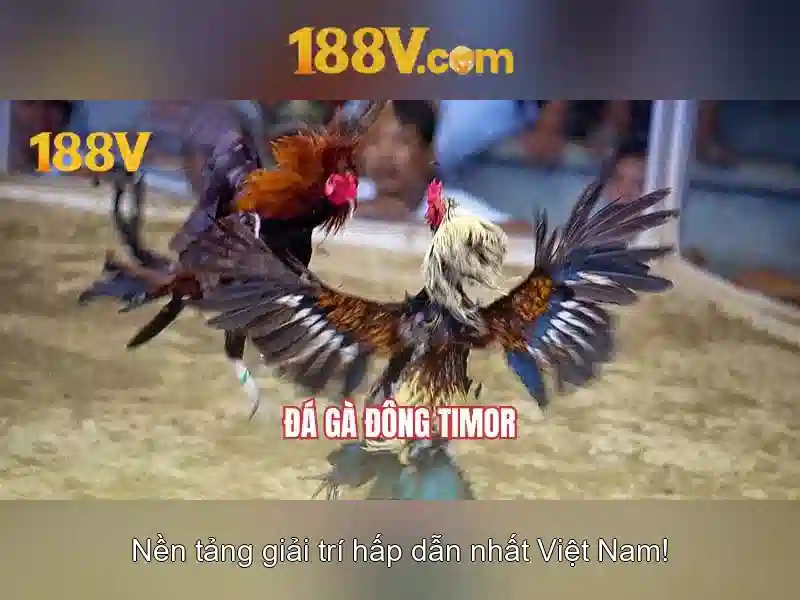 casino 188v – tổng quan và giá trị cốt lõi