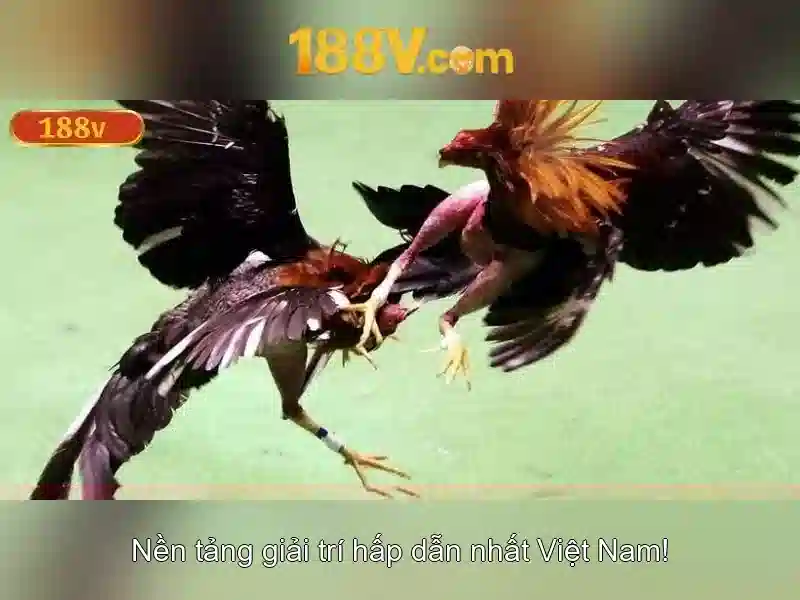 Khái niệm 188v