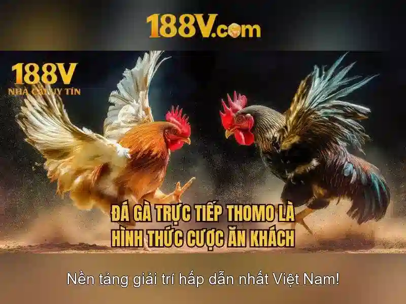 Lịch sử và nguồn gốc của 188v