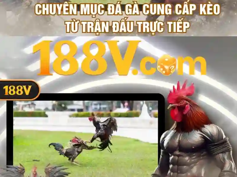 Trải nghiệm người dùng và phản hồi từ cộng đồng